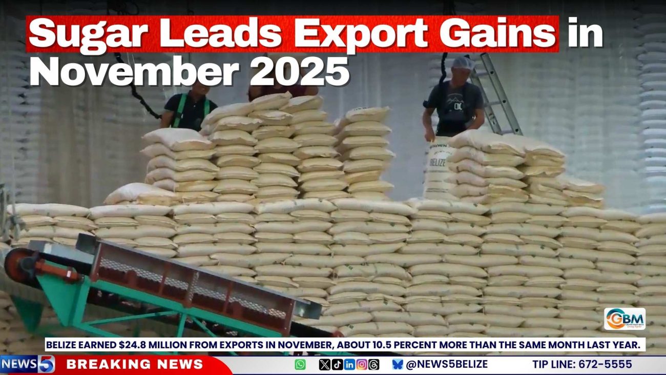 Sugar Leads Export Gains in November 2025