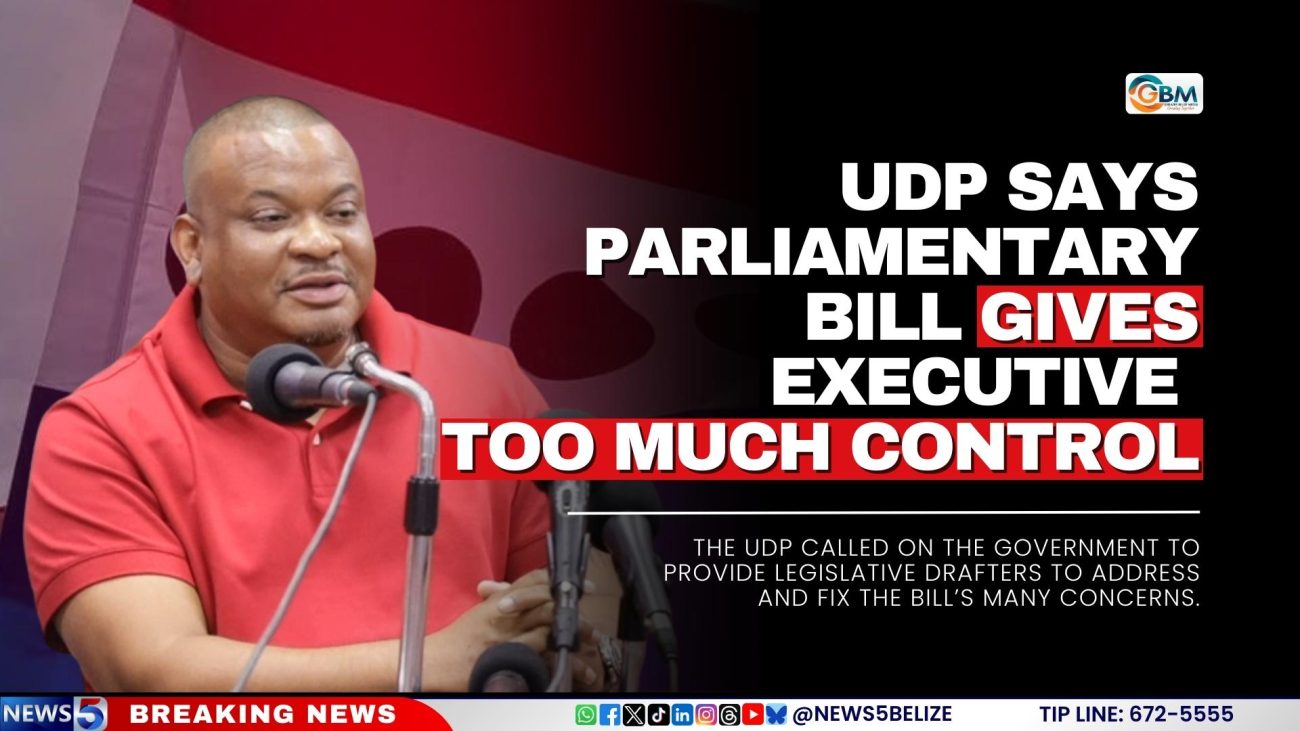 UDP Says Parliamentary Bill Gives Executive Too Much Control