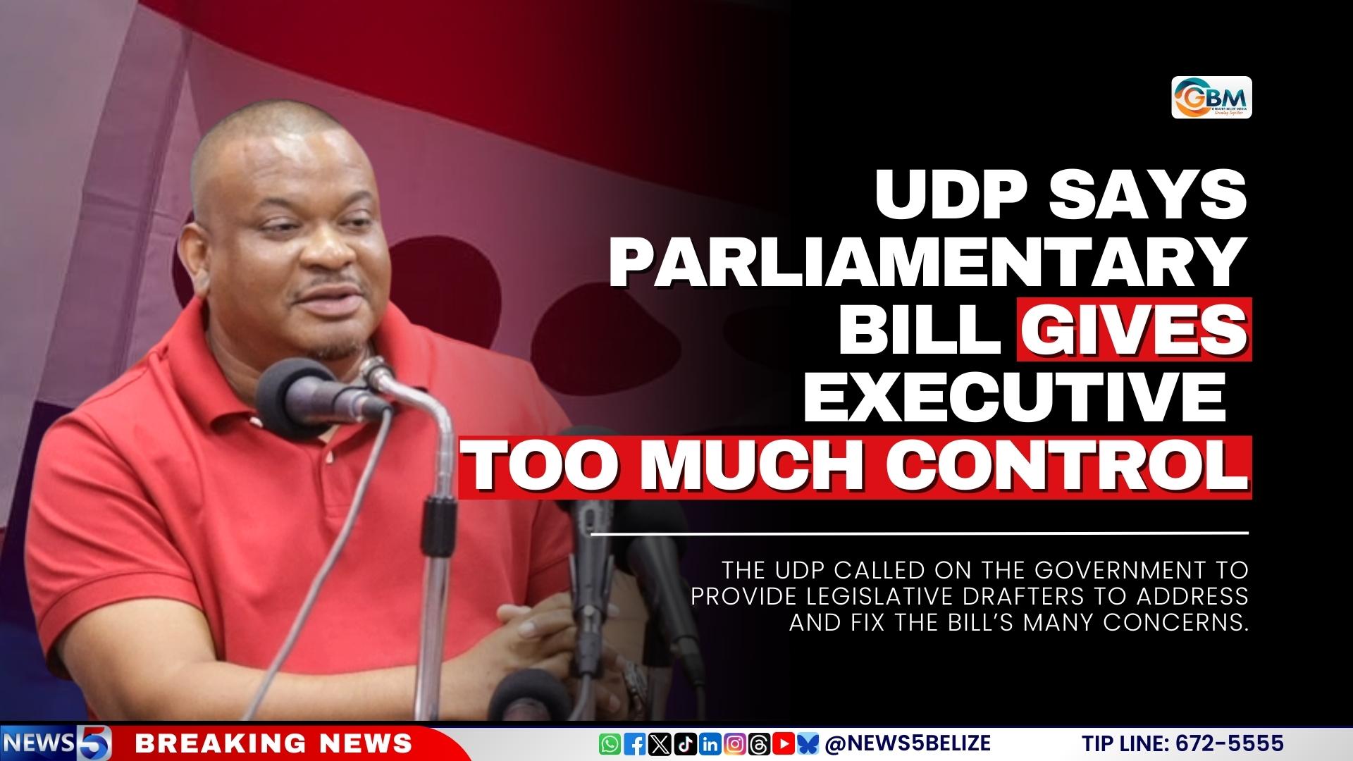 UDP Says Parliamentary Bill Gives Executive Too Much Control