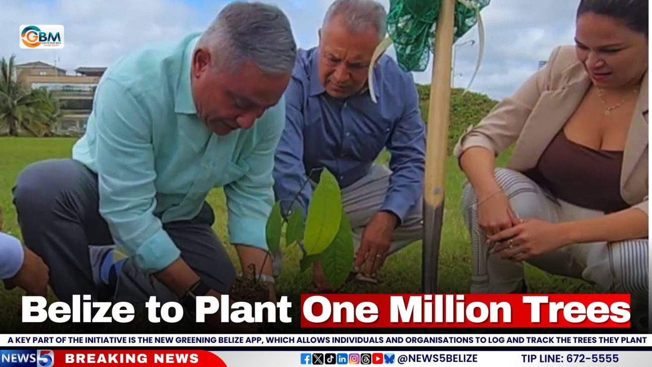 Belize to Plant One Million Trees