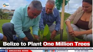 Belize to Plant One Million Trees