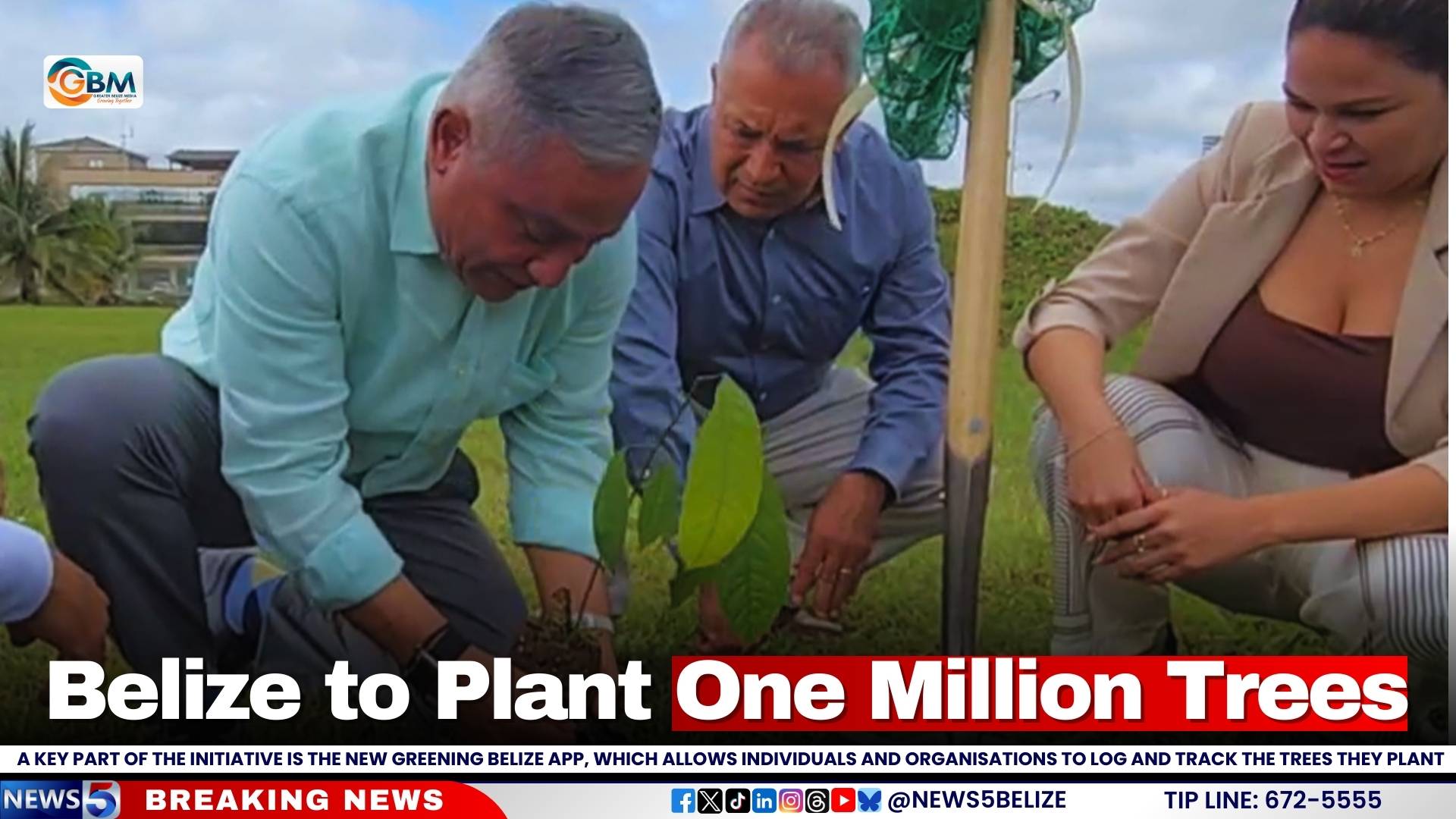 Belize to Plant One Million Trees