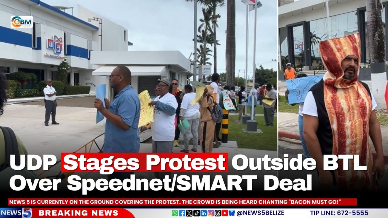 UDP Stages Protest Outside BTL Over Speednet/SMART Deal