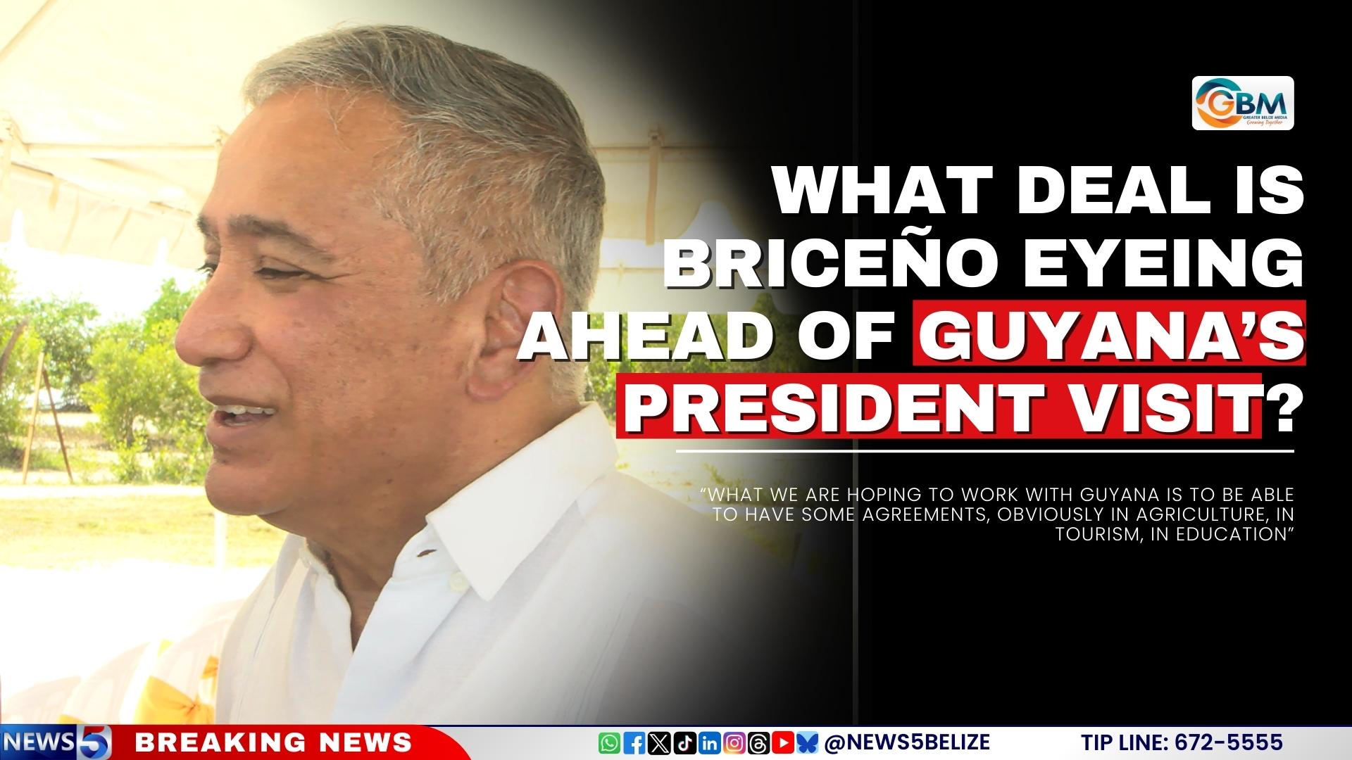 What Deal Is Briceño Eyeing Ahead of Guyana President’s Visit?
