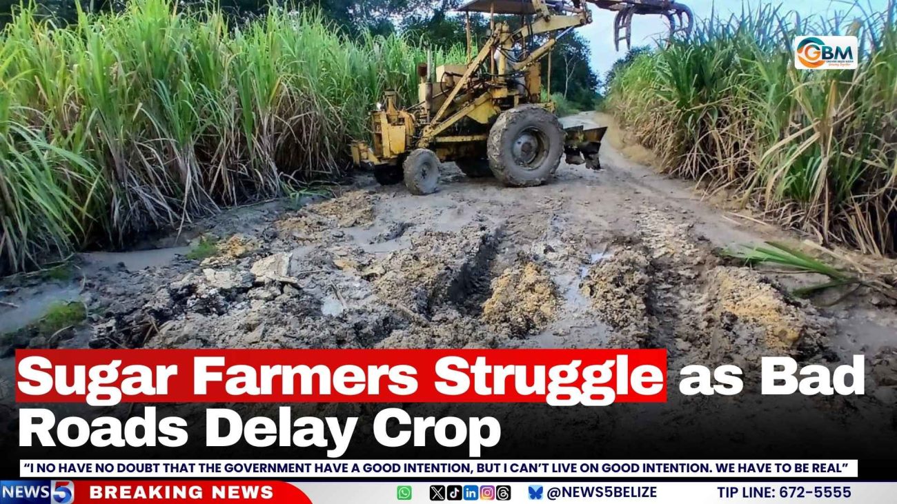 Sugar Farmers Struggle as Bad Roads Delay Crop