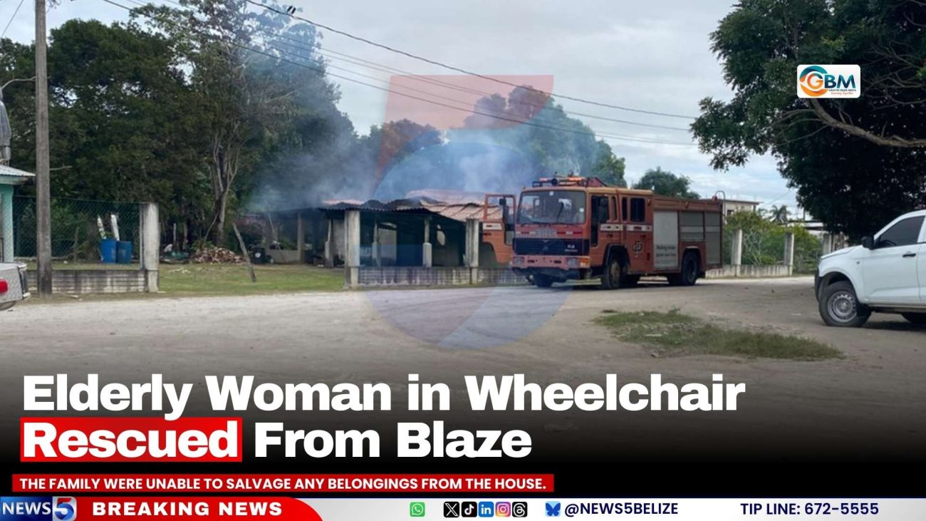 Elderly Woman in Wheelchair Rescued From Blaze