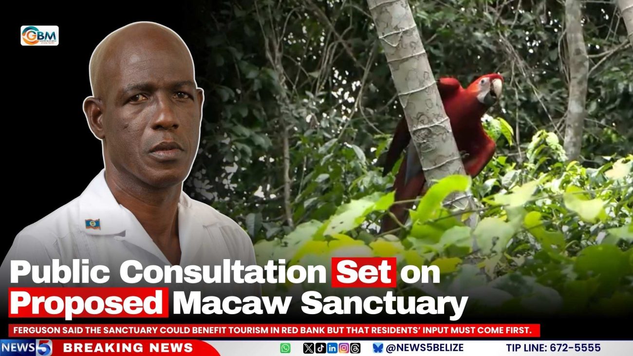 Public Consultation Set on Proposed Macaw Sanctuary