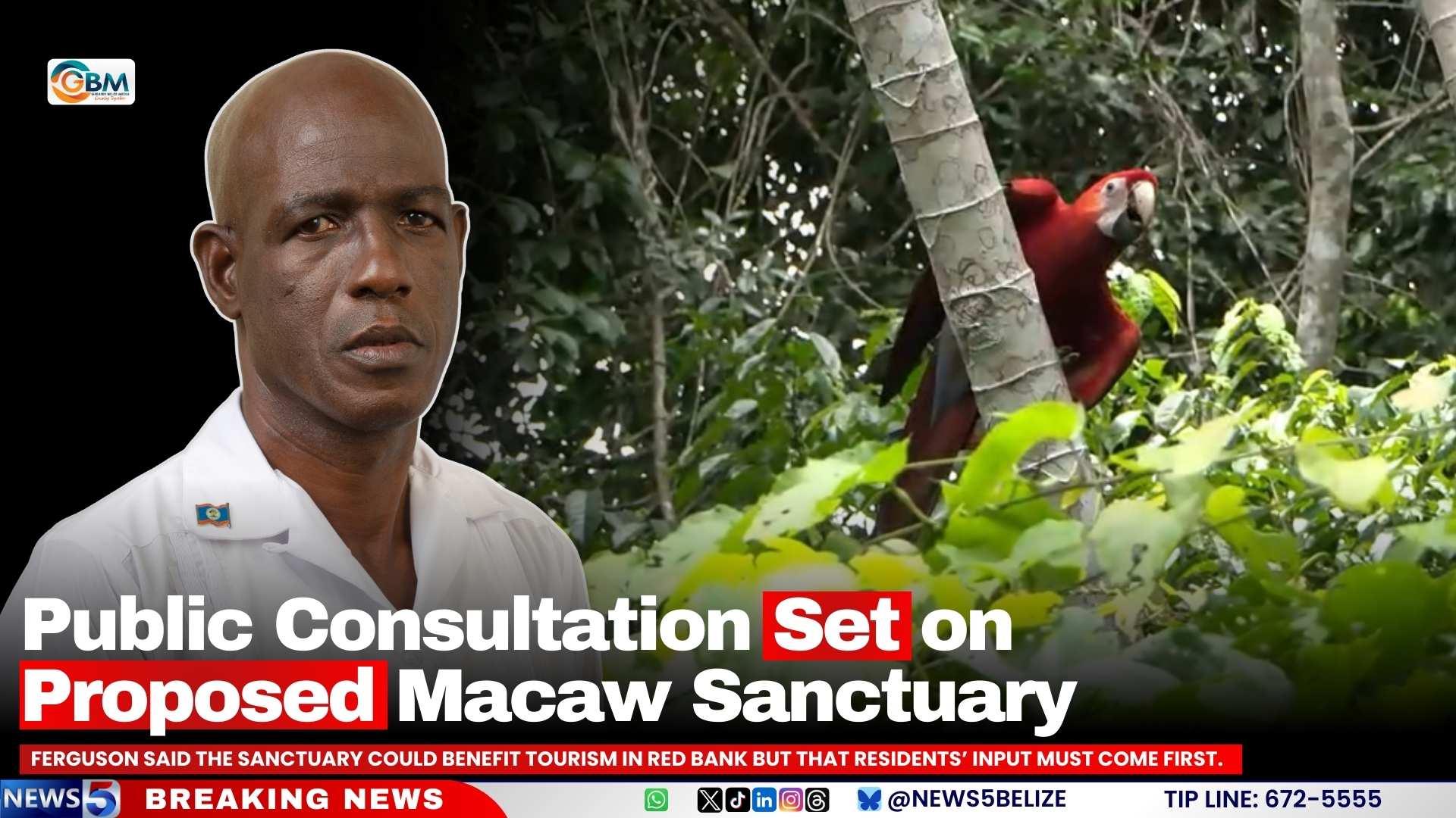 Public Consultation Set on Proposed Macaw Sanctuary