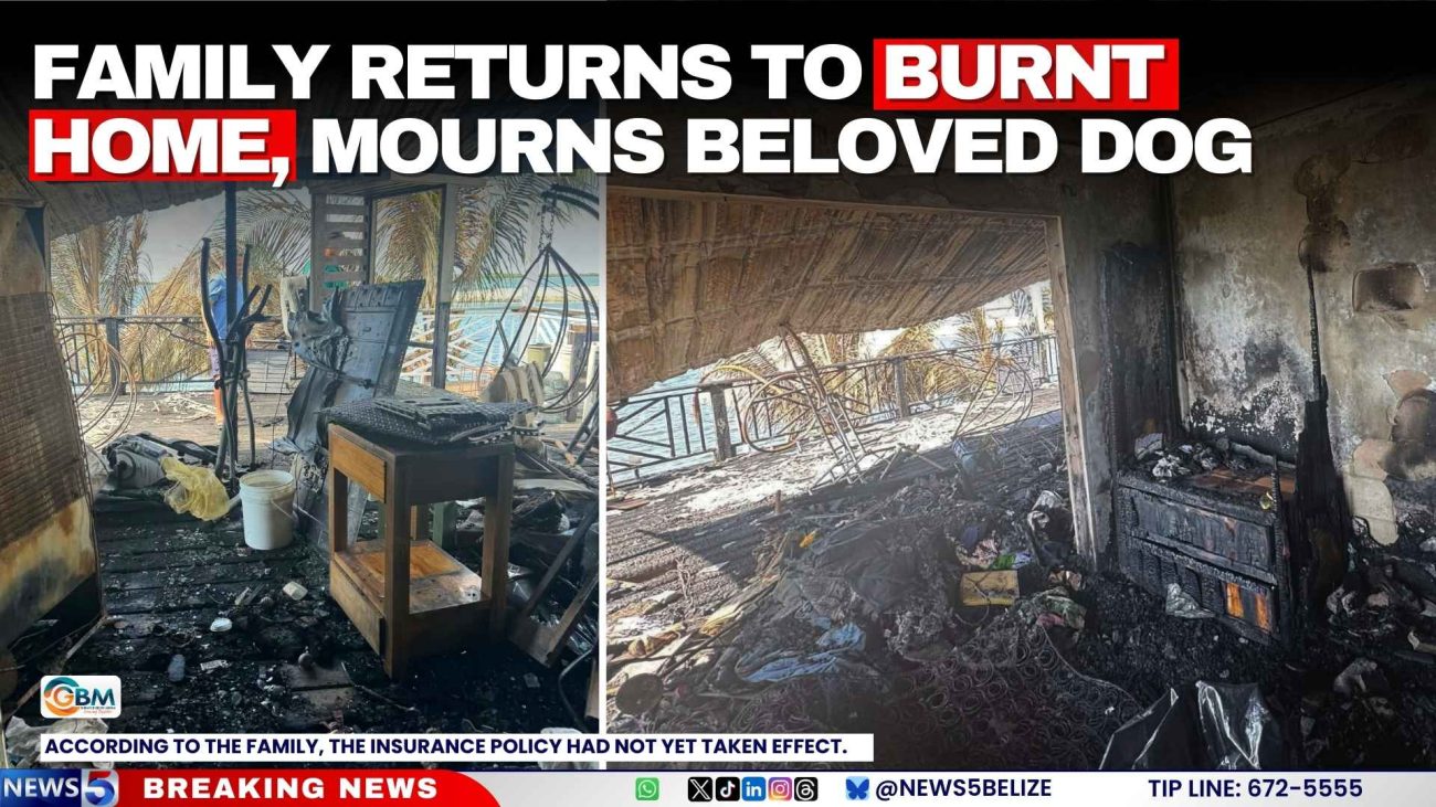 Family Returns to Burnt Home, Mourns Beloved Dog