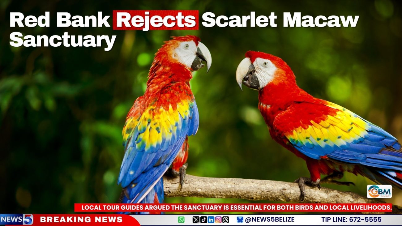 Red Bank Rejects Scarlet Macaw Sanctuary