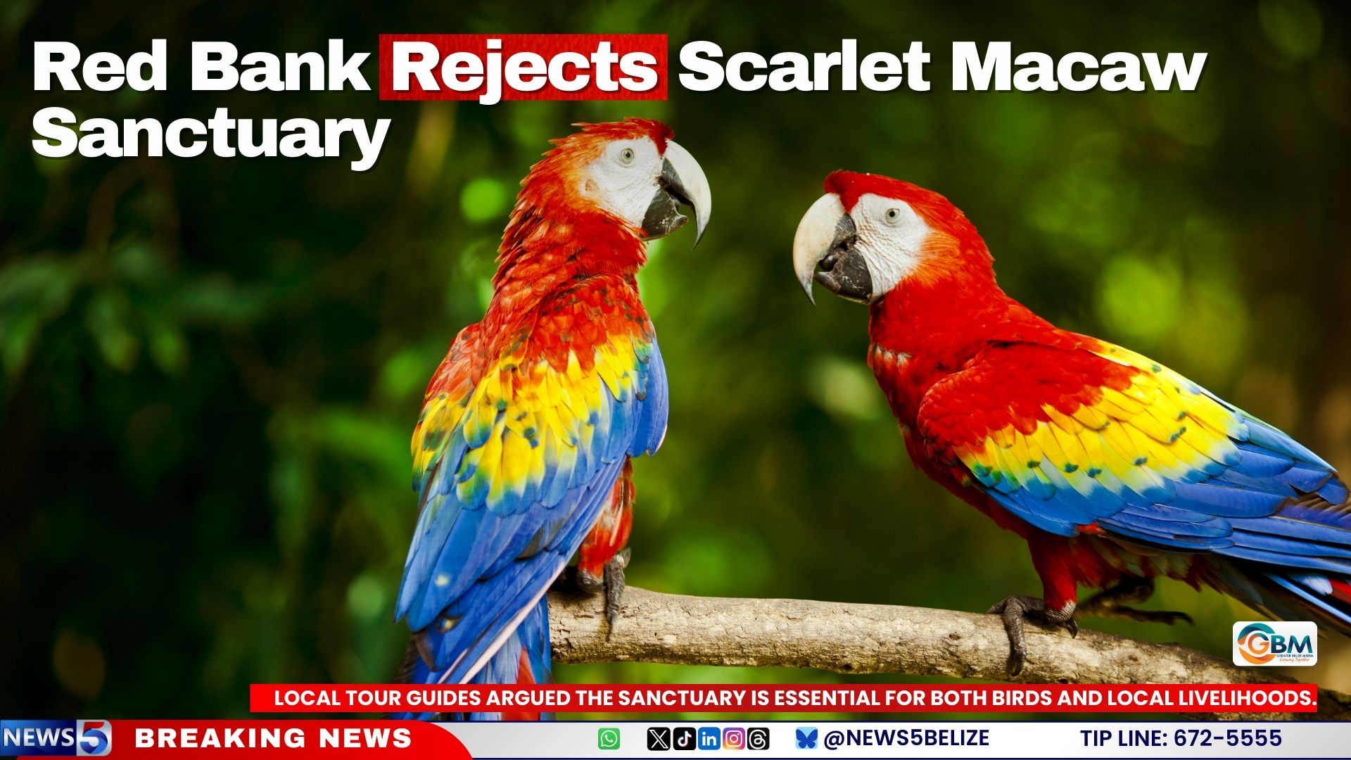 Red Bank Rejects Scarlet Macaw Sanctuary