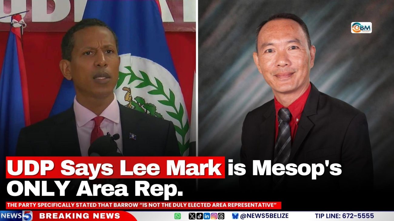 UDP Says Lee Mark is Mesop's ONLY Area Rep.