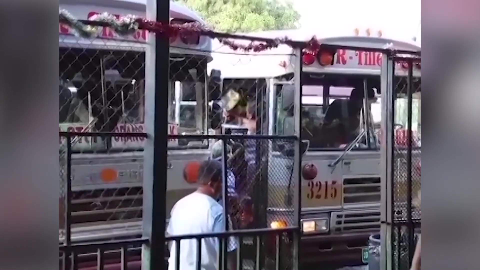 Majority of Bus Operators Buy Shares in National Bus Company  