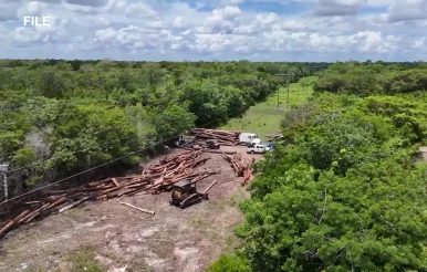 A Five-year Moratorium on Extractions from National Land