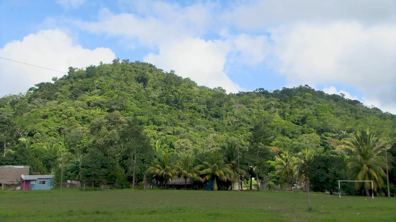 Residents Cry Foul Over Macaw Sanctuary Plans in Red Bank