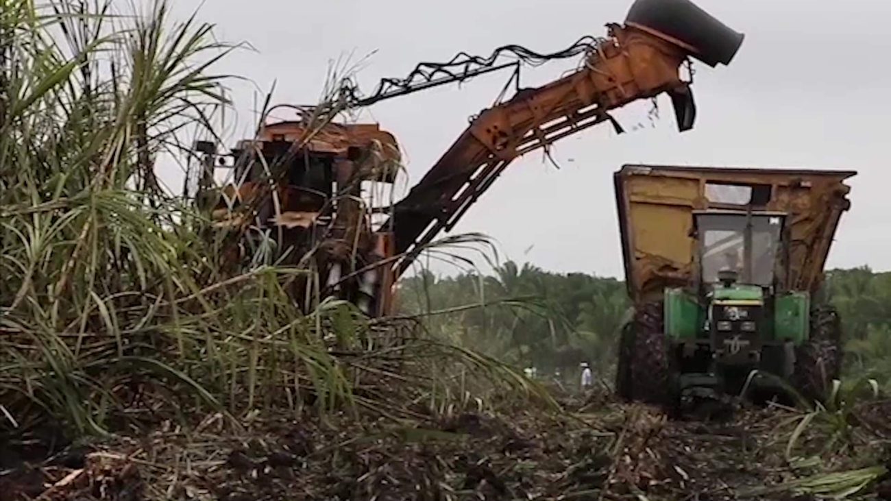 Sugar Industry Secures Lifeline with Deal Extension