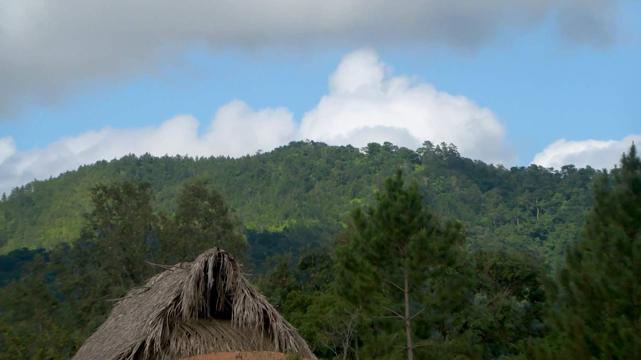 Public Consultation Held on Scarlet Macaw Sanctuary