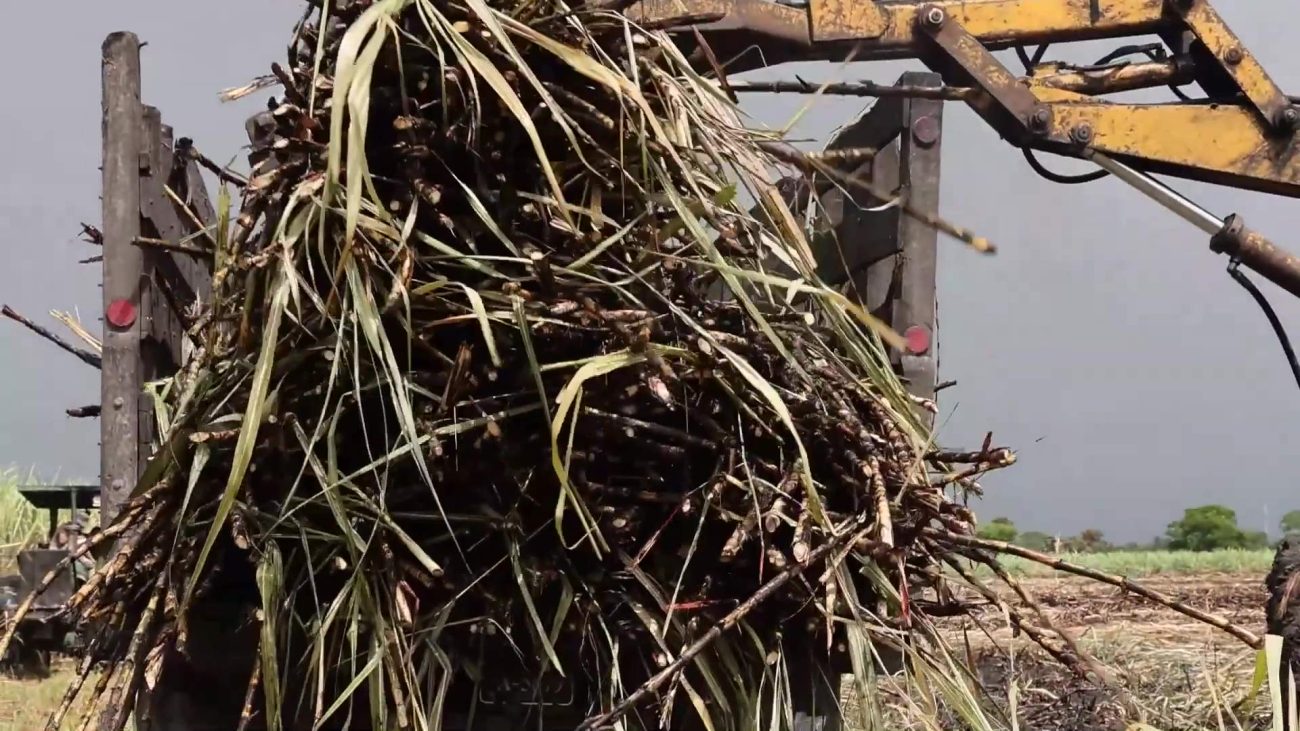 $2 Million Invested on Sugar Roads