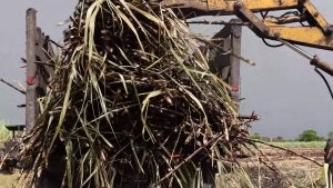 $2 Million Invested on Sugar Roads