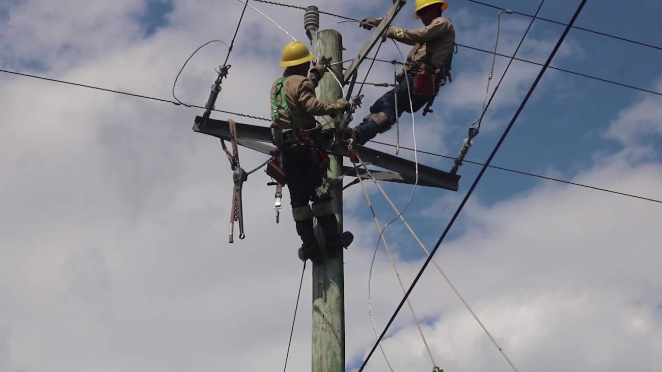 BEL Officially Launches Smart Meter Project