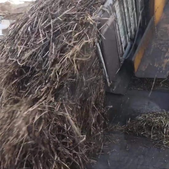 Zafra de caña 2026 inicia con optimismo