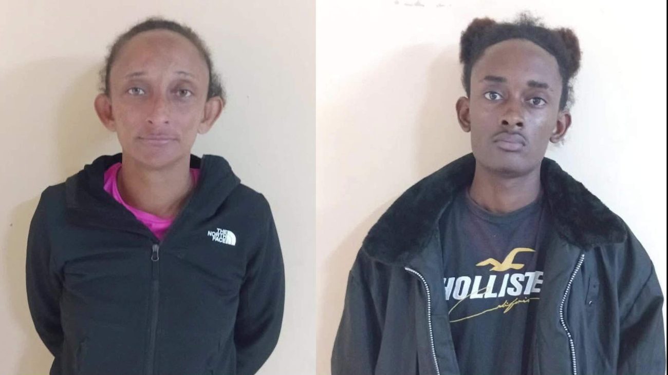 Domestic Dispute Turns Violent; Mother and Son Charged n Brutal Attack