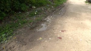 Voice of: Sister of Deceased