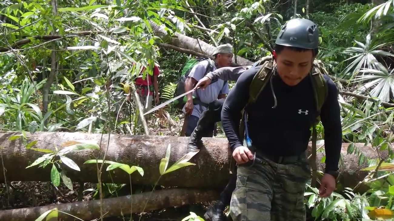 Government Renews FCD Macaw Research Permit