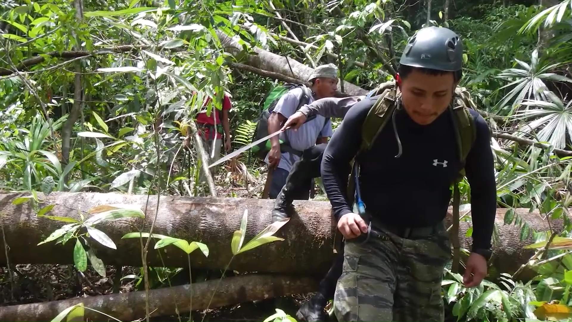 Government Renews FCD Macaw Research Permit