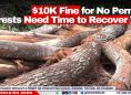 $10K Fine for No Permit: Forests Need Time to Recover Too