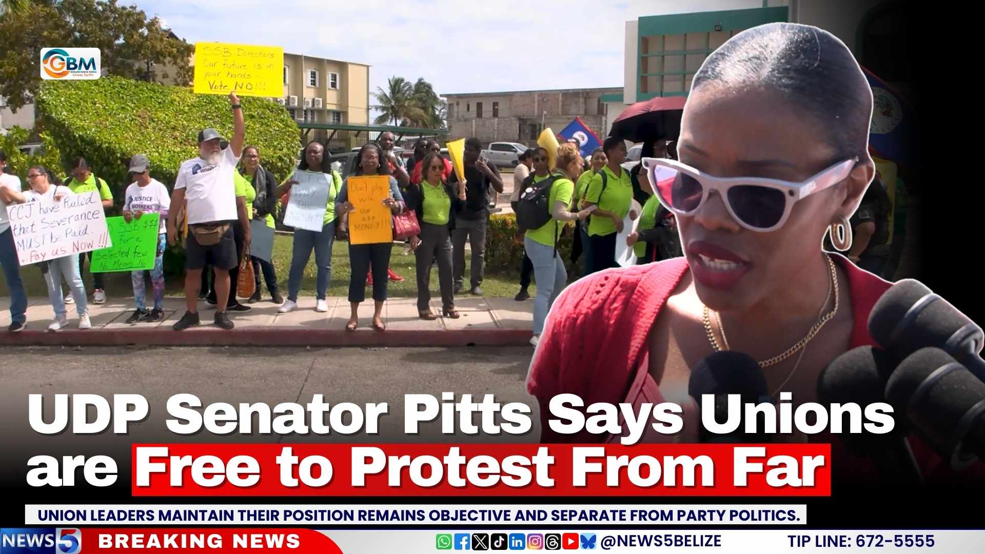 UDP Senator Pitts Says Unions are Free to Protest From Far