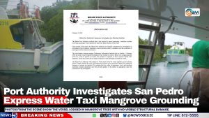 Port Authority Investigates San Pedro Water Taxi Mangrove Grounding