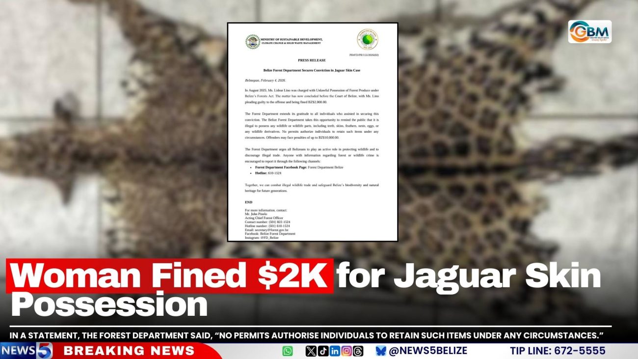 Woman Fined $2K for Jaguar Skin Possession