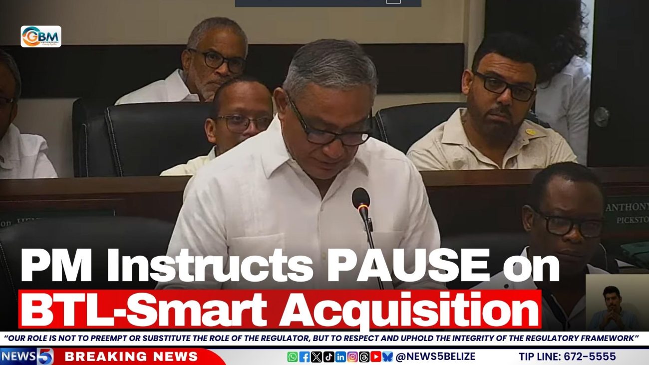 PM Instructs Pause on BTL-Smart Acquisition