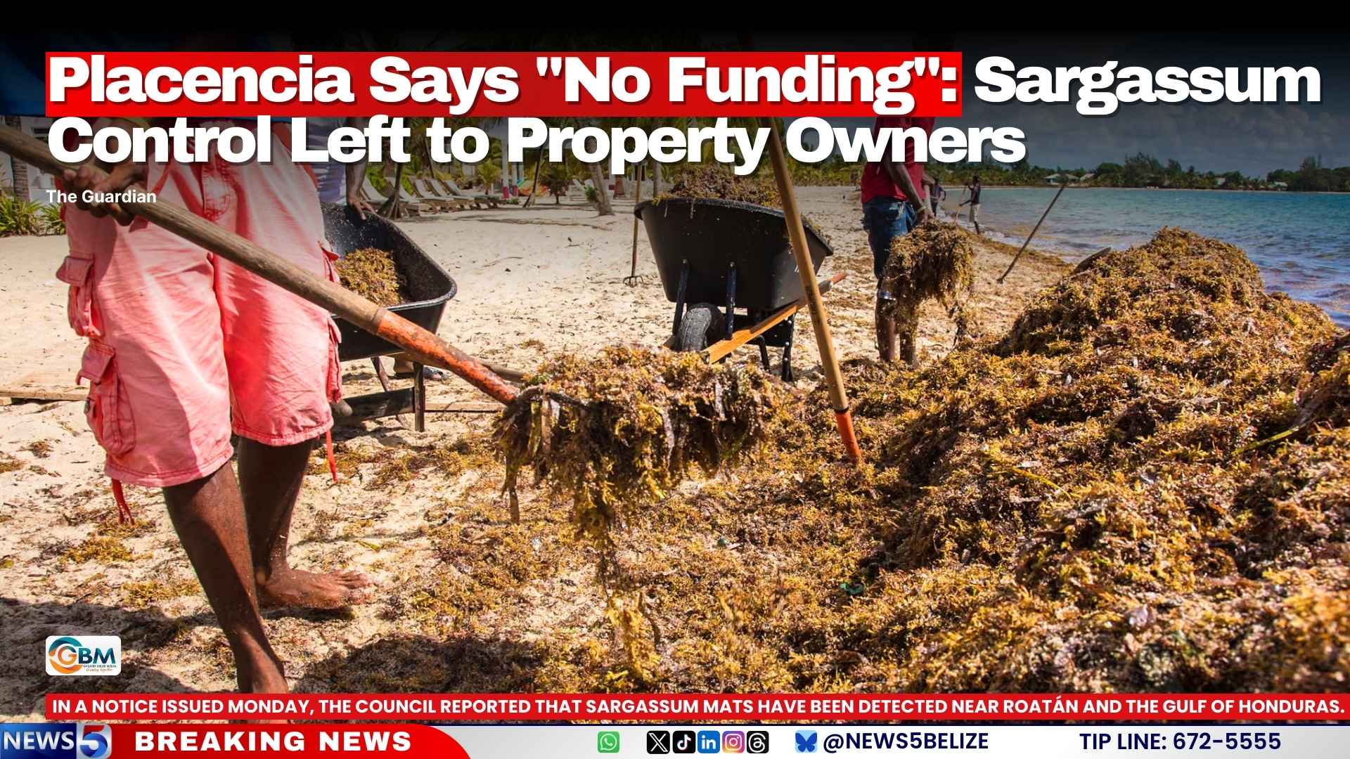 Placencia Says "No Funding": Sargassum Control Left to Property Owners