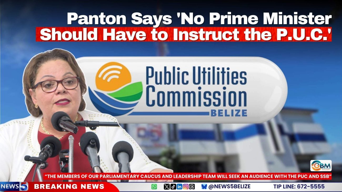 Panton Says 'No Prime Minister Should Have to Instruct the P.U.C.'