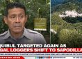 Chiquibul Targeted Again as Illegal Loggers Shift to Sapodilla