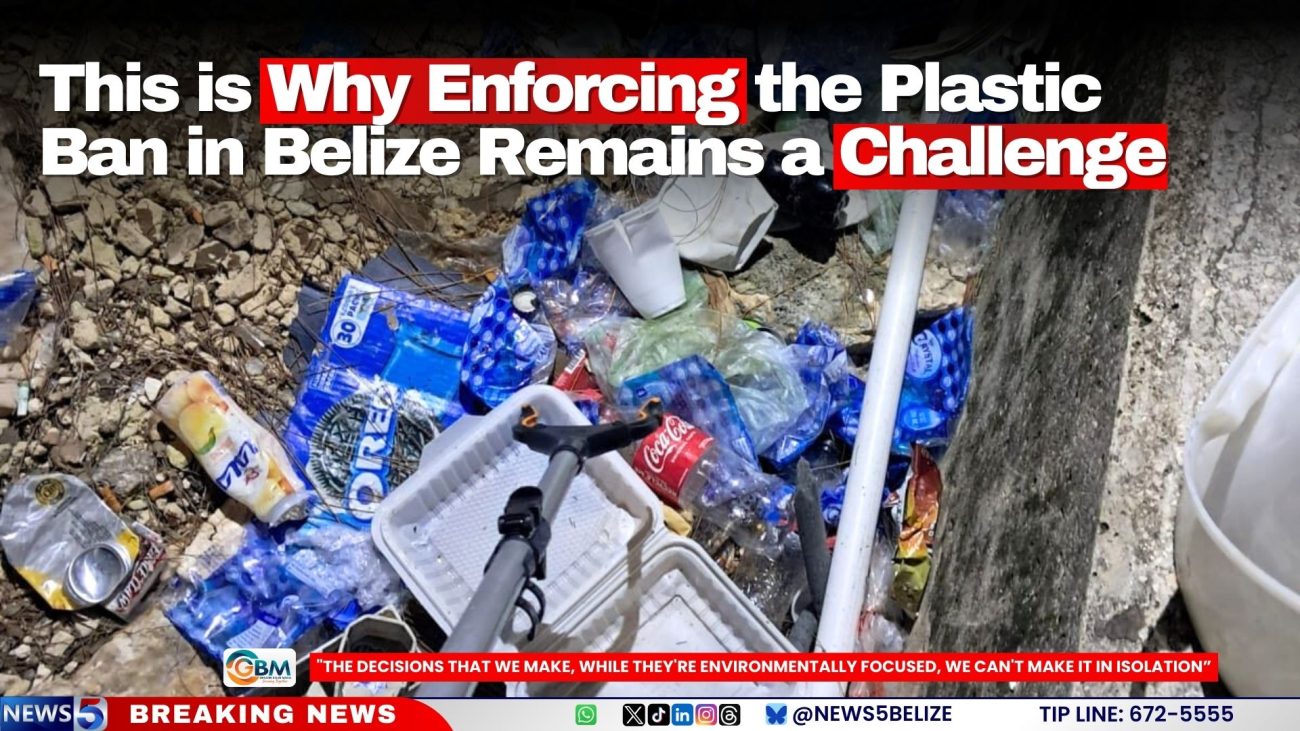 This is Why Enforcing the Plastic Ban in Belize Remains a Challenge