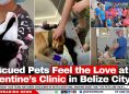 Rescued Pets Feel the Love at Valentine’s Clinic in Belize City