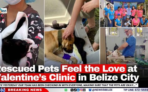 Rescued Pets Feel the Love at Valentine’s Clinic in Belize City