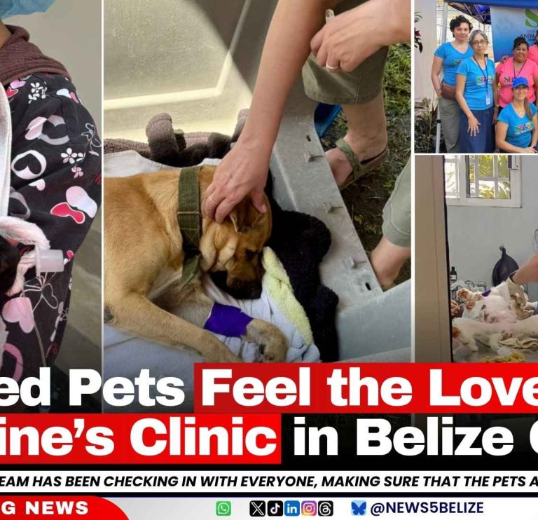 Rescued Pets Feel the Love at Valentine’s Clinic in Belize City