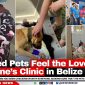Rescued Pets Feel the Love at Valentine’s Clinic in Belize City