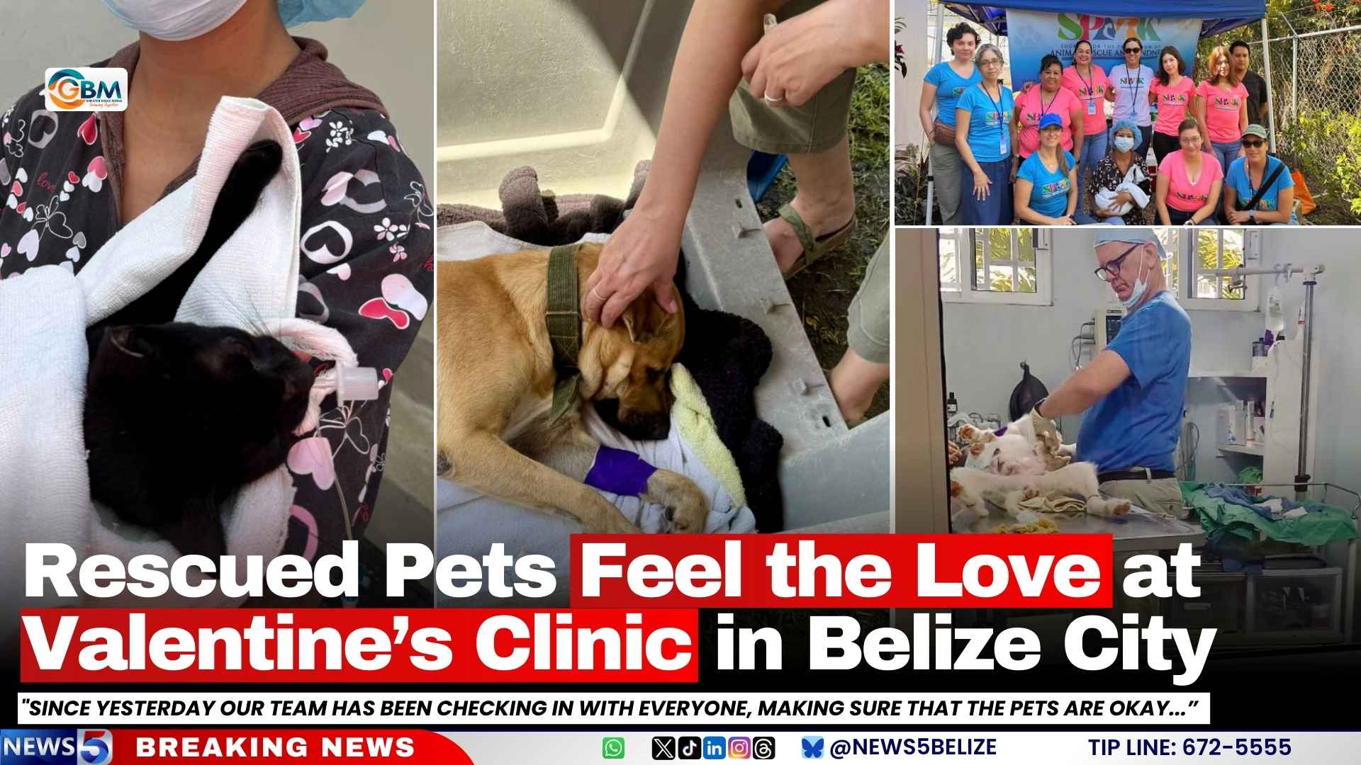 Rescued Pets Feel the Love at Valentine’s Clinic in Belize City