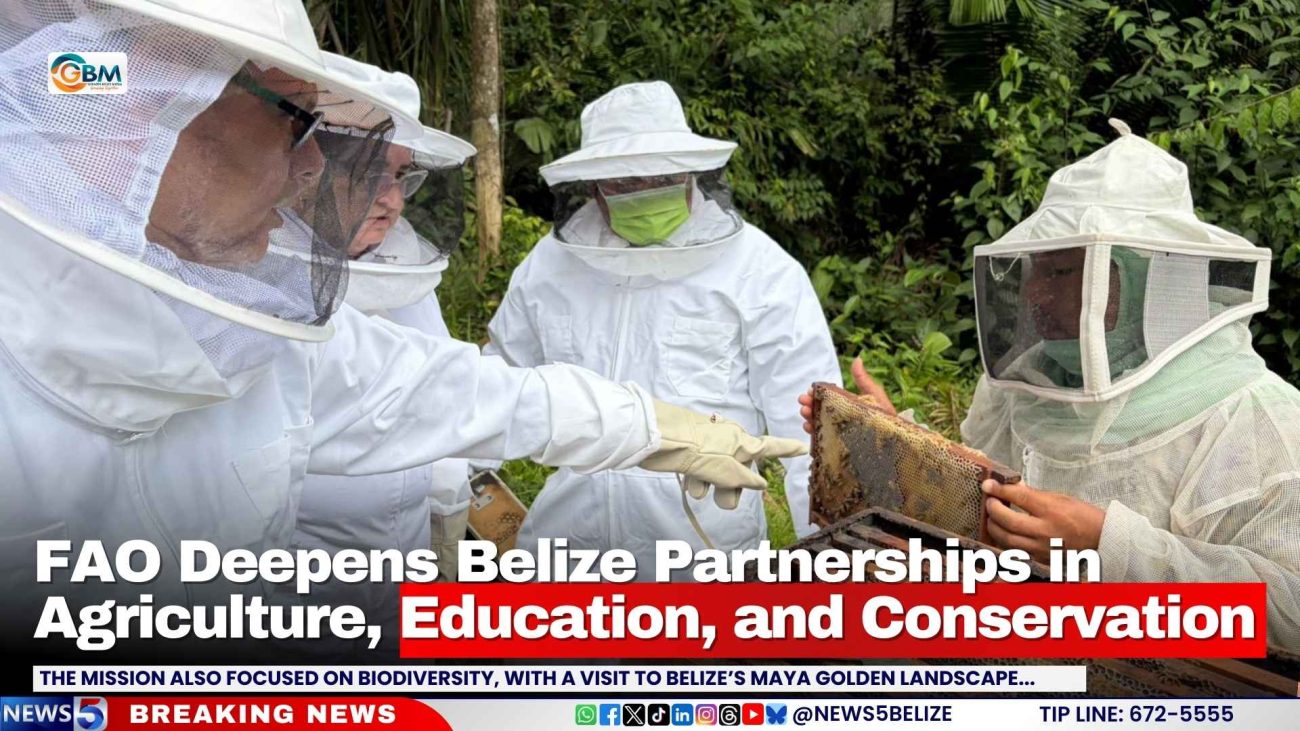 FAO Deepens Belize Partnerships in Agriculture, Education, and Conservation