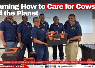 Learning How to Care for Cows and the Planet