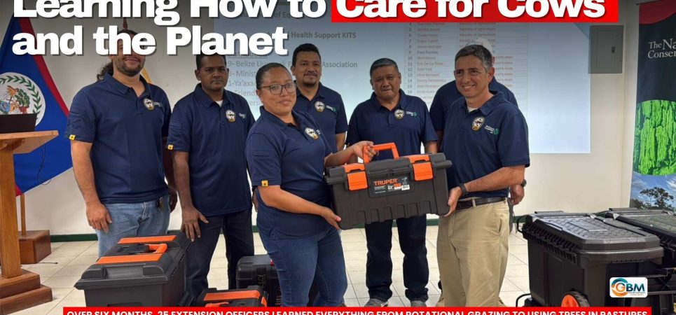 Learning How to Care for Cows and the Planet