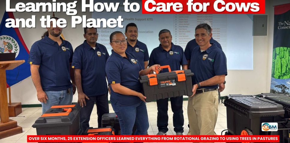 Learning How to Care for Cows and the Planet