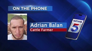 On the Phone: Adrian Balan