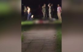 Loved Ones Reject Claims Against Slain Cousins