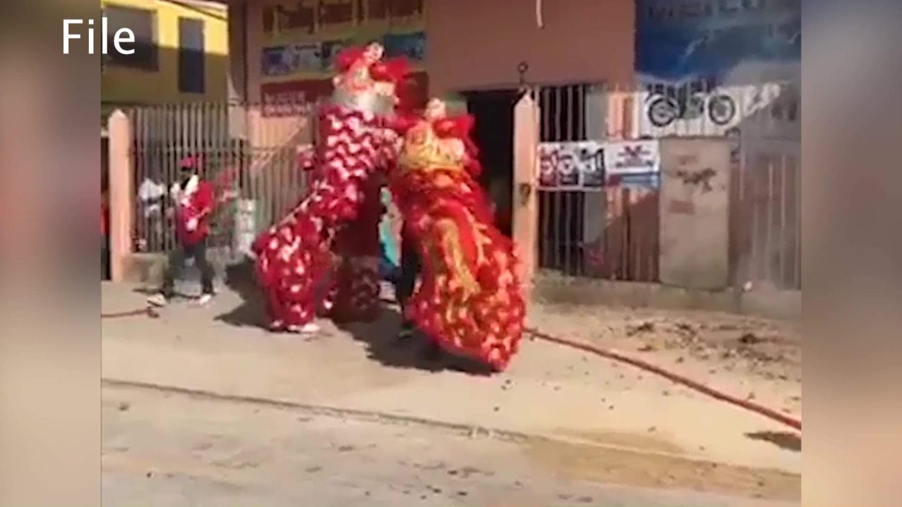 Year of the Horse Celebrated with Belizean Flair